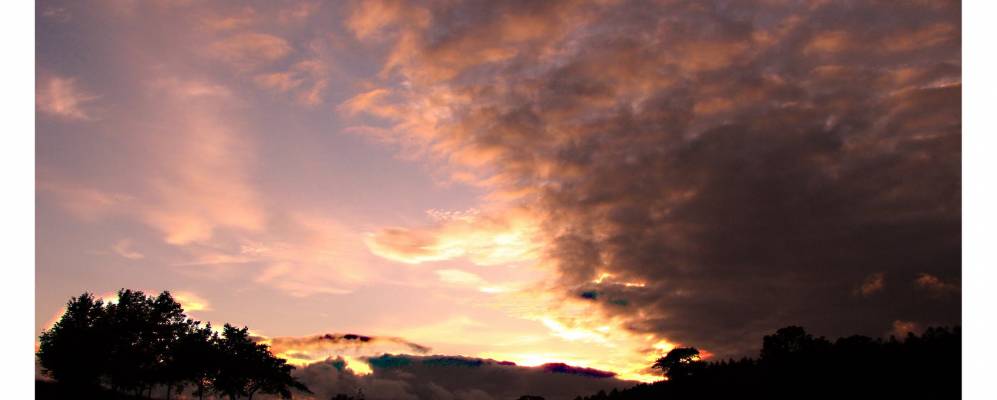 
            Фотография Ньютон Стюарта