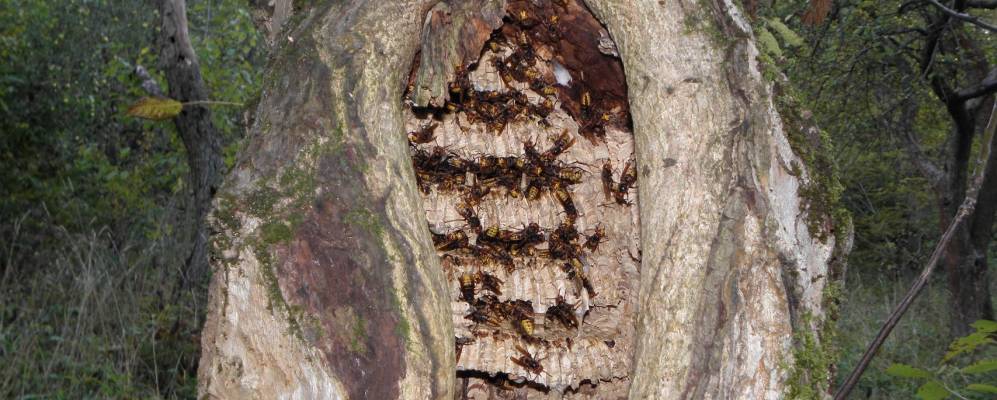 
            Фотография Подлесного