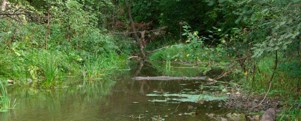 Фотография Сахаровки