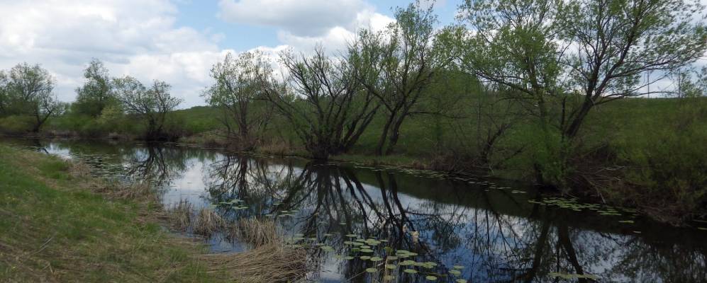 
            Фотография Куропатнинского