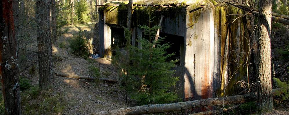 
            Фотография Рожанки