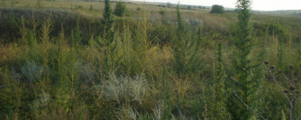 
            Фотография Водотока