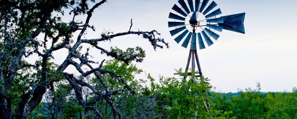 
            Фотография Балверда