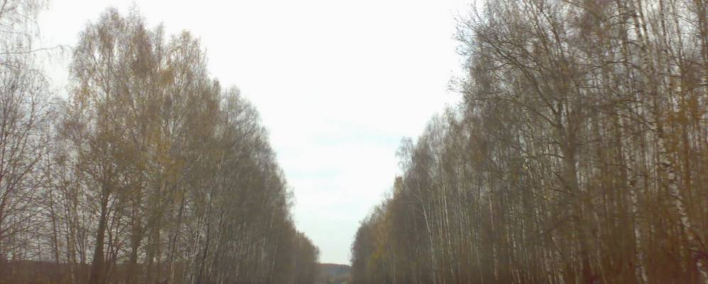 
            Фотография Васильевки