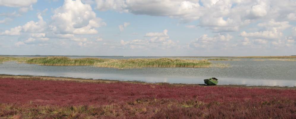 
            Фотография Кухарево