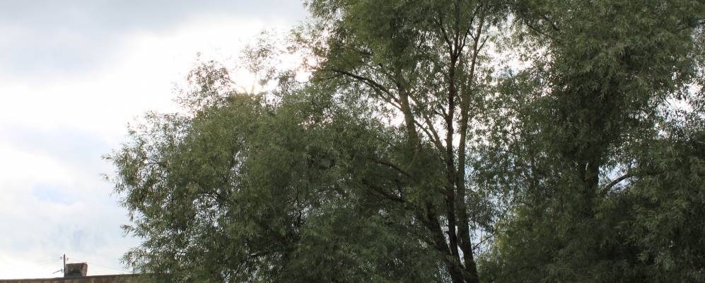 
            Фотография Хиринских Выселок