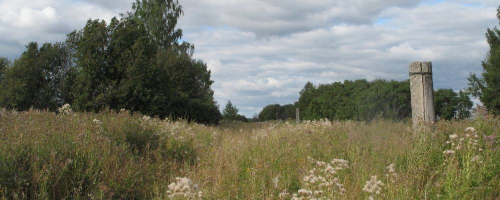 Фотография Малиновки