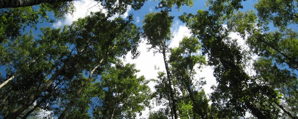 Фотография Урбежа