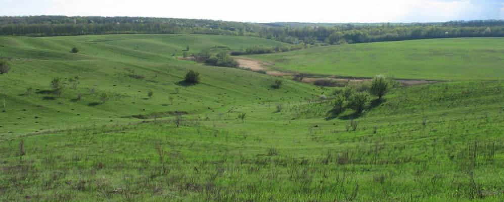 
            Фотография Озерного