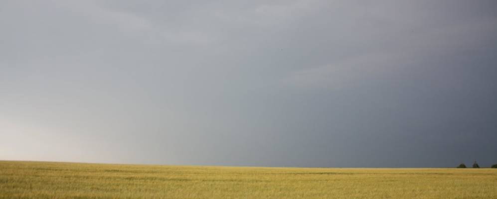 
            Фотография Дубасово