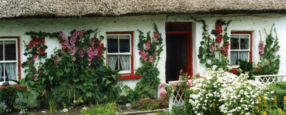 
            Фотография Спидла