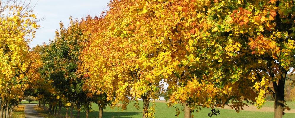 
            Фотография Заюнсиека