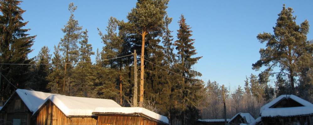 
            Фотография Горки Муравьевской