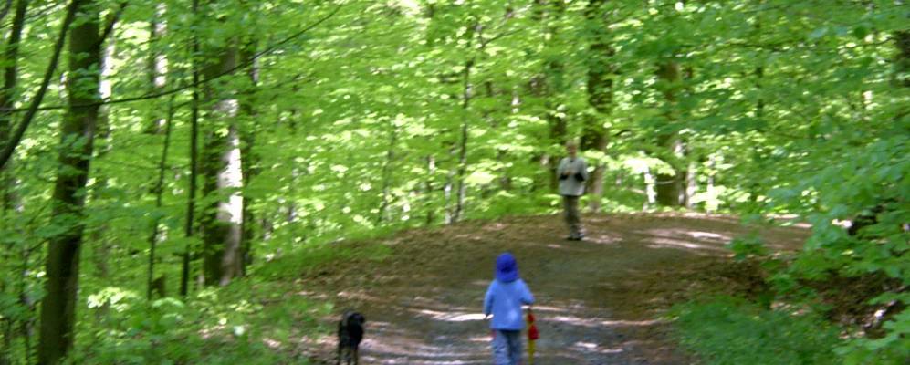 
            Фотография Глайхамберга