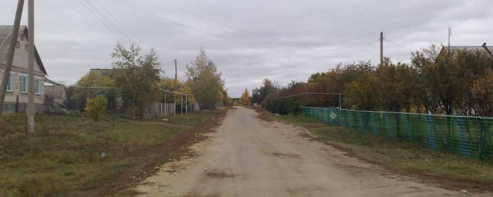 
            Фотография Вязовика