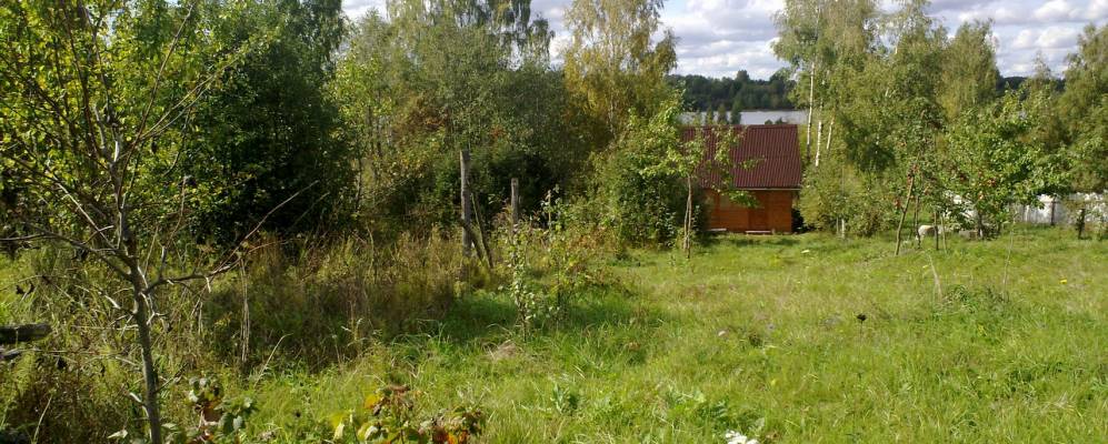 
            Фотография Модявино