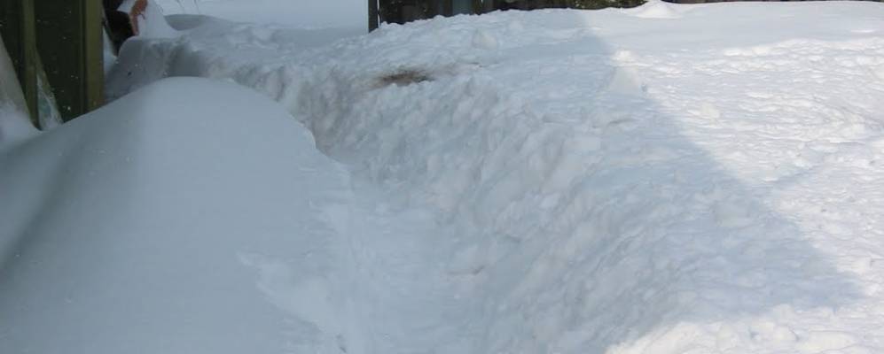 
            Фотография Папивино