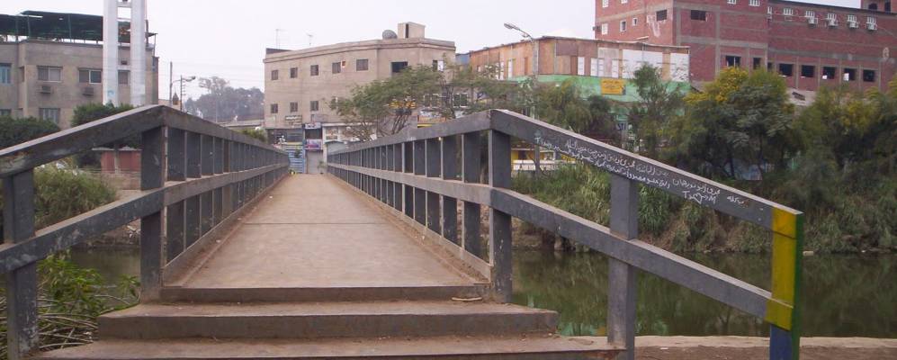 
            Фотография Дикирниса