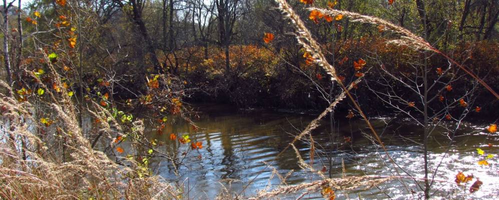 
            Фотография Велли Вью