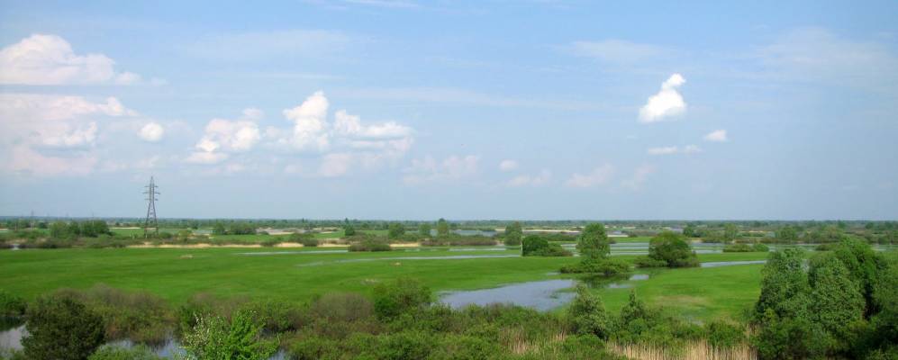 
            Фотография поселка Борки