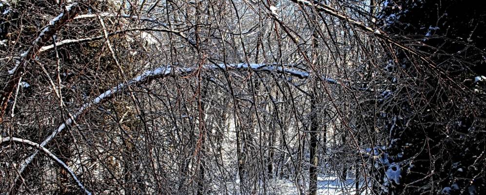 
            Фотография Дей Хайтса