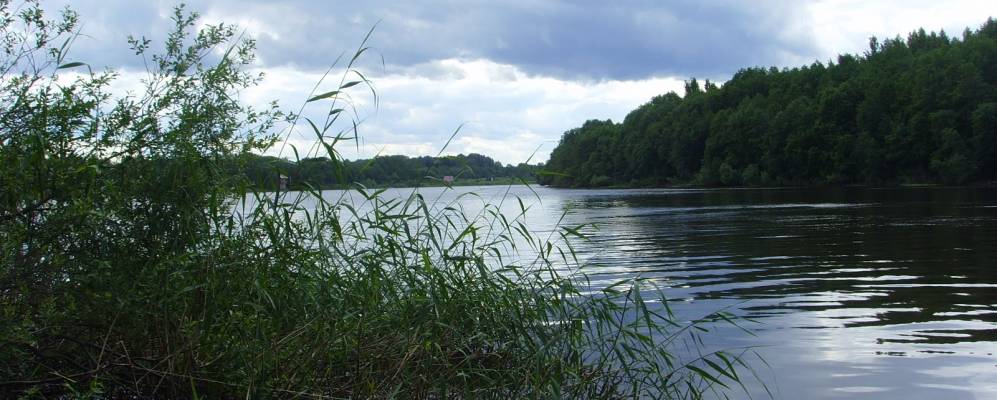 
            Фотография Панево