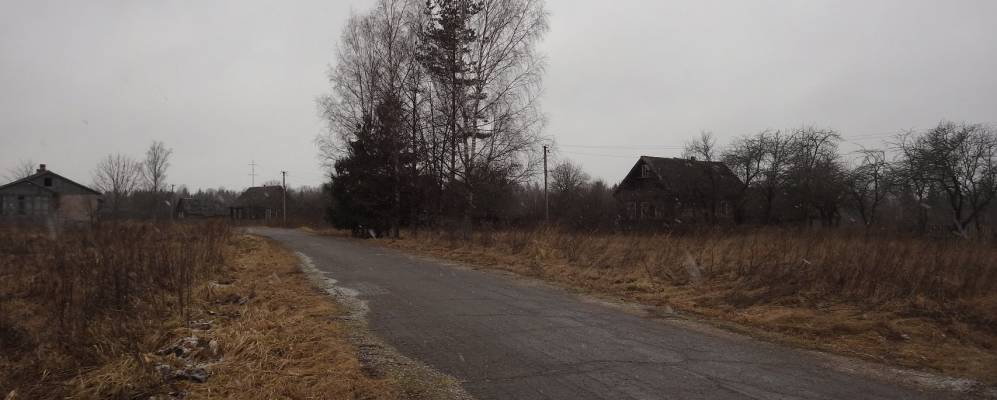 
            Фотография Шваино