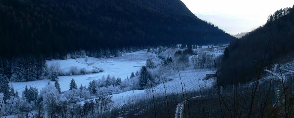 
            Фотография Терцоласа