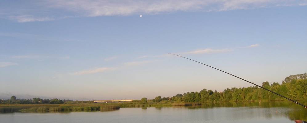 
            Фотография Алексино