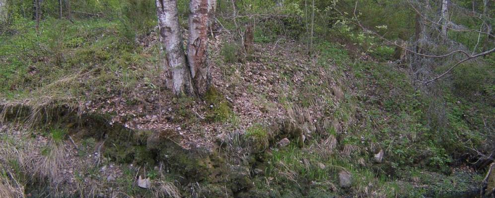 
            Фотография Васильево