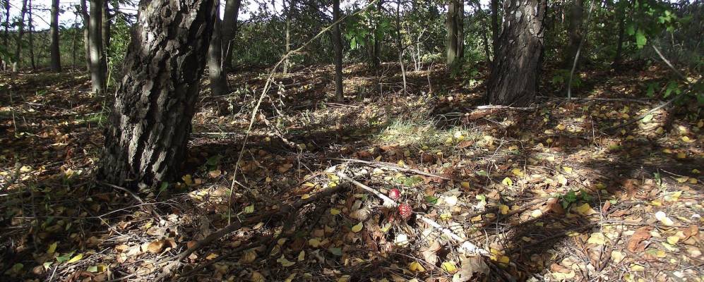 Фотография Макеевки