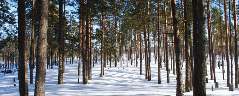 Фотография Костково