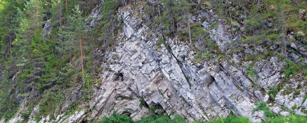 
            Фотография Киселей