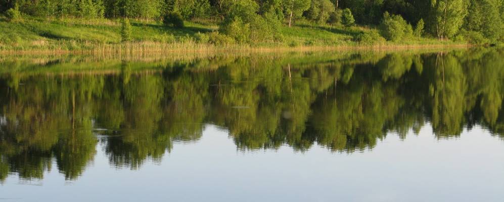 
            Фотография Бурдово