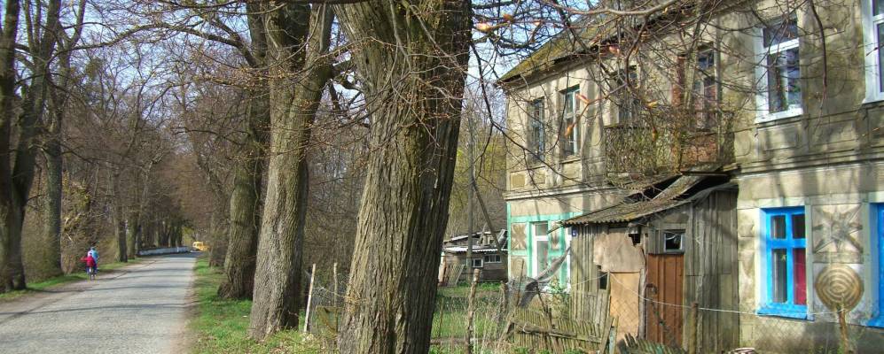 
            Фотография Тростников