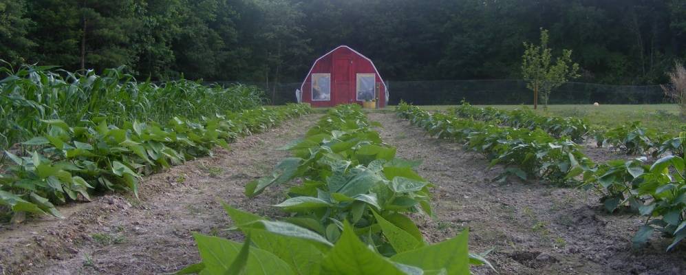 
            Фотография Шарпсберга