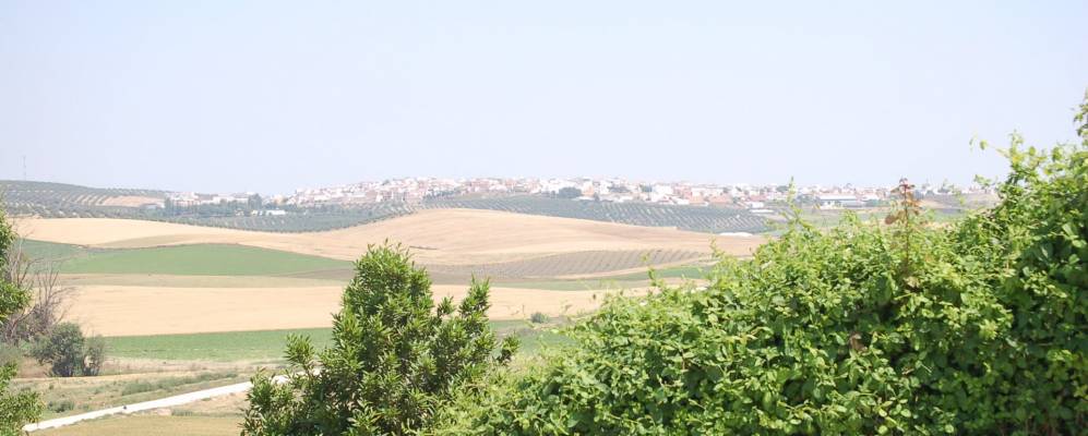 
            Фотография Монтальбан де Кордобы