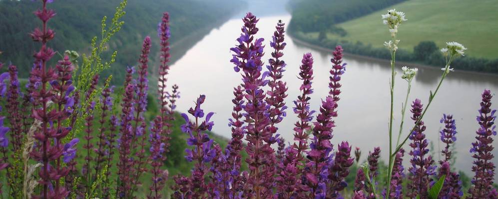 
            Фотография Латковцы