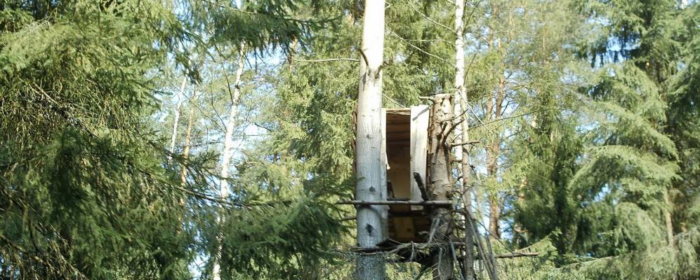 
            Фотография Колионово