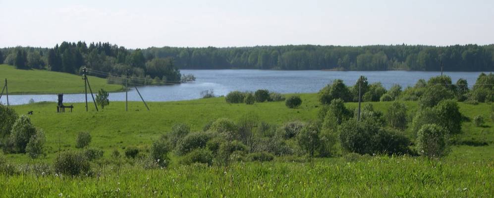 Фотография Паньково