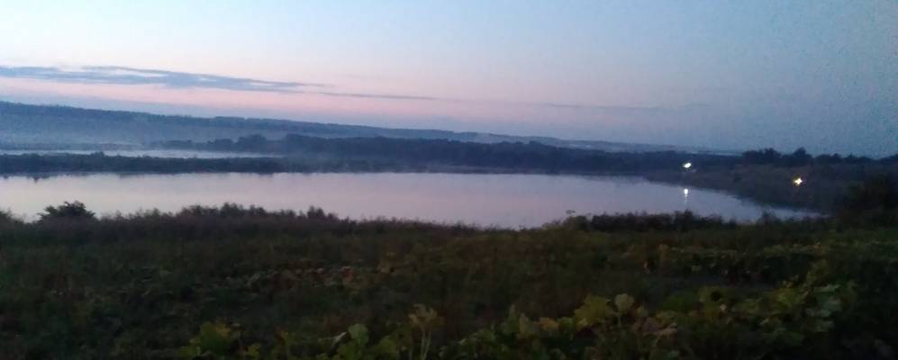 Фотография Новореченского