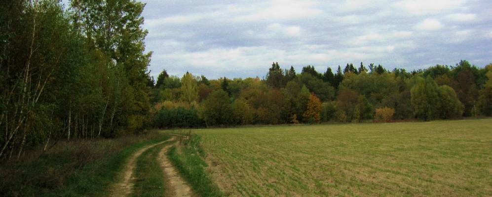 
            Фотография Шапихи