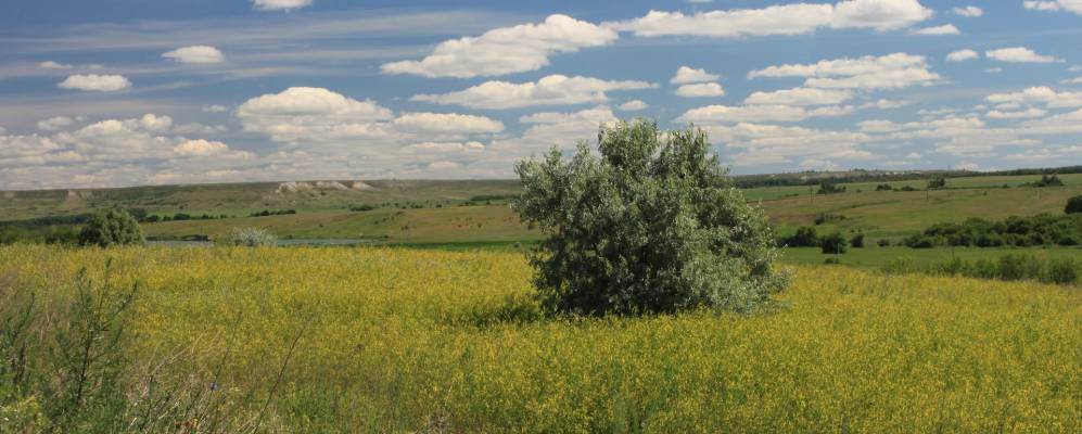 
            Фотография Екатериновки