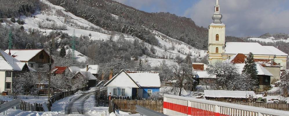 
            Фотография Петрилы