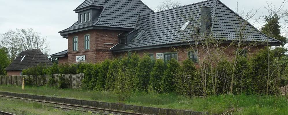 
            Фотография Dabel