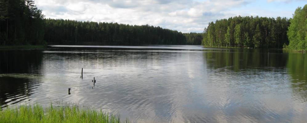 
            Фотография Грузино