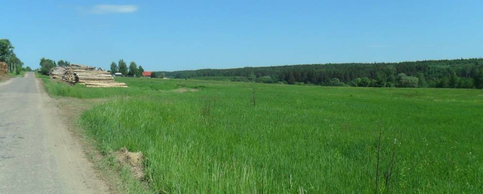 Фотография Барыбино