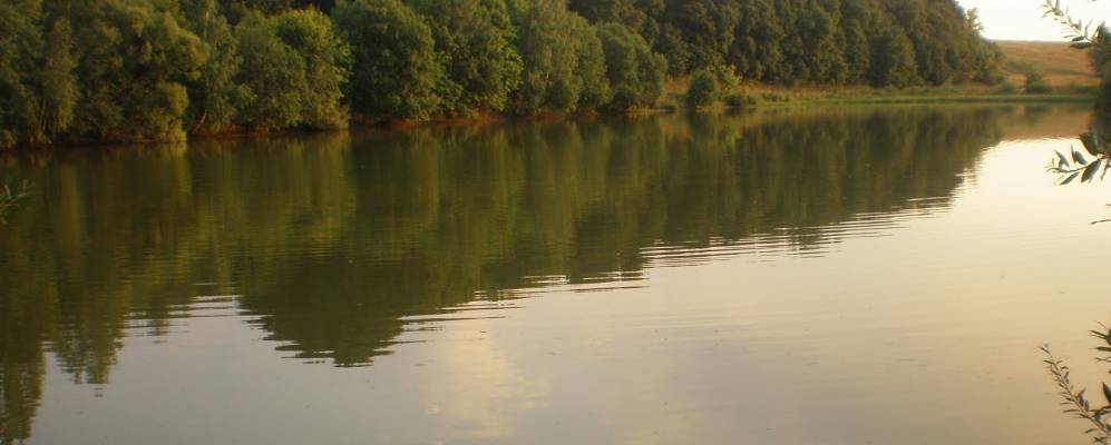 
            Фотография Каменского