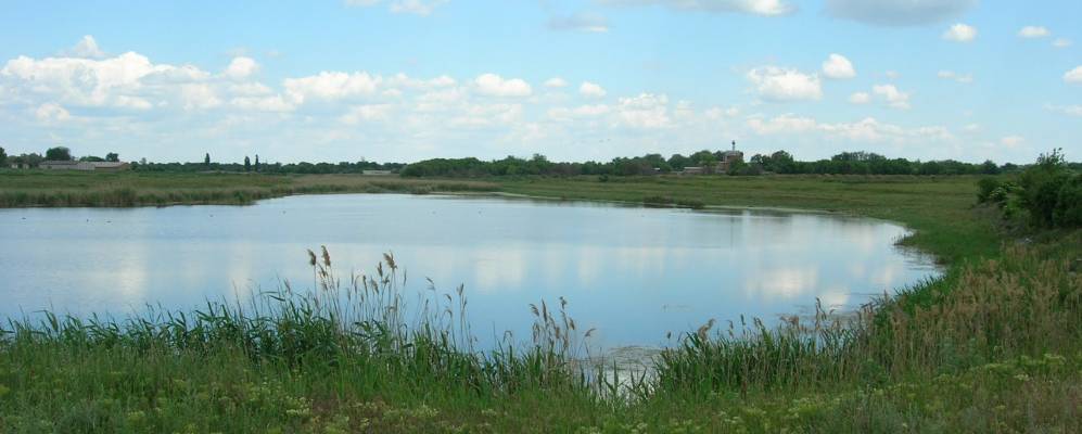 
            Фотография Кравцы