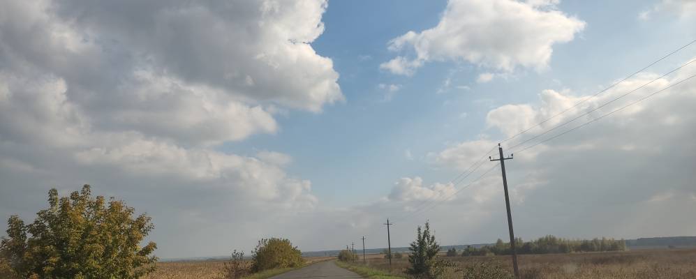 Фотография Березовки